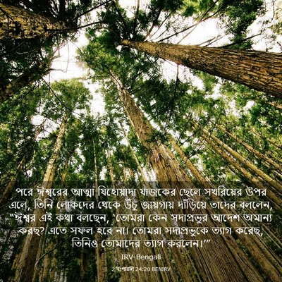 Picture 03 - 2 বংশাৱলি 24:20 BENIRV - পরে ঈশ্বরের আত্মা - Bible Verse Picture
