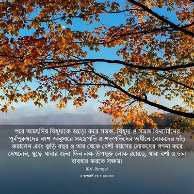Picture 03 - 2 বংশাৱলি 25:5 BENIRV - পরে অমৎসিয় - Bible Verse Picture