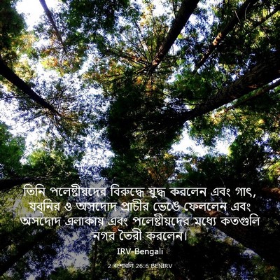 Picture 03 - 2 বংশাৱলি 26:6 BENIRV - তিনি পলেষ্টীয়দের - Bible Verse Picture