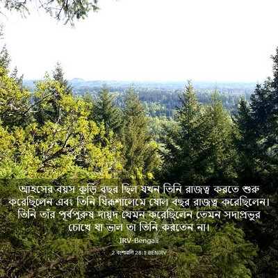 Picture 03 - 2 বংশাৱলি 28:1 BENIRV - আহসের বয়স কুড়ি - Bible Verse Picture
