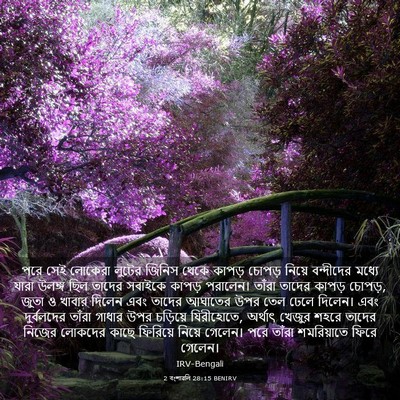 Picture 03 - 2 বংশাৱলি 28:15 BENIRV - পরে সেই লোকেরা - Bible Verse Picture