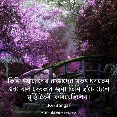 Picture 03 - 2 বংশাৱলি 28:2 BENIRV - তিনি ইস্রায়েলের - Bible Verse Picture