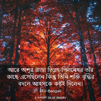 Picture 03 - 2 বংশাৱলি 28:20 BENIRV - আরে অশূর রাজা - Bible Verse Picture