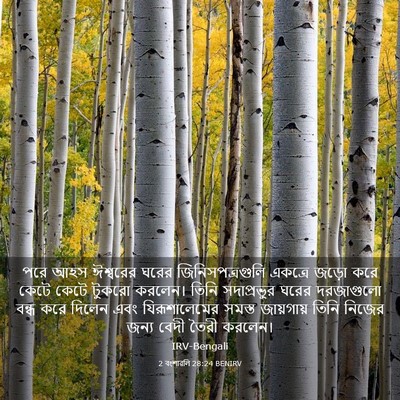 Picture 03 - 2 বংশাৱলি 28:24 BENIRV - পরে আহস ঈশ্বরের - Bible Verse Picture