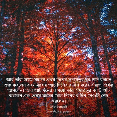 Picture 03 - 2 বংশাৱলি 29:17 BENIRV - আর তাঁরা প্রথম - Bible Verse Picture