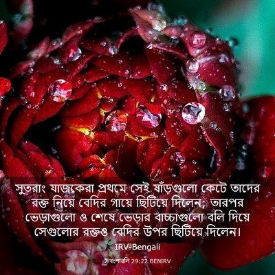 Picture 03 - 2 বংশাৱলি 29:22 BENIRV - সুতরাং যাজকেরা - Bible Verse Picture