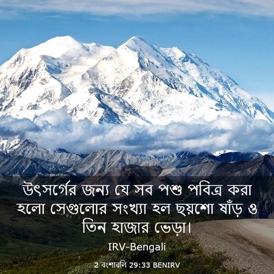 Picture 03 - 2 বংশাৱলি 29:33 BENIRV - উৎসর্গের জন্য যে - Bible Verse Picture