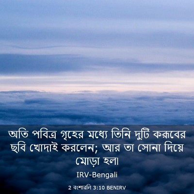 Picture 03 - 2 বংশাৱলি 3:10 BENIRV - অতি পবিত্র গৃহের - Bible Verse Picture