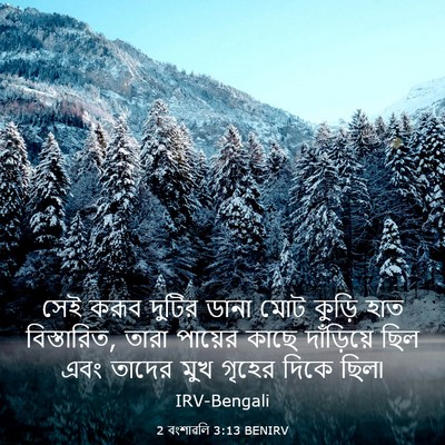 Picture 03 - 2 বংশাৱলি 3:13 BENIRV - সেই করূব দুটির - Bible Verse Picture