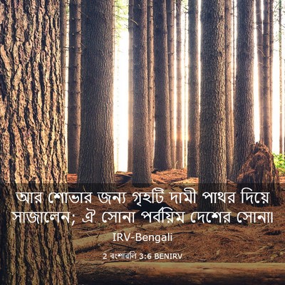 Picture 03 - 2 বংশাৱলি 3:6 BENIRV - আর শোভার জন্য - Bible Verse Picture