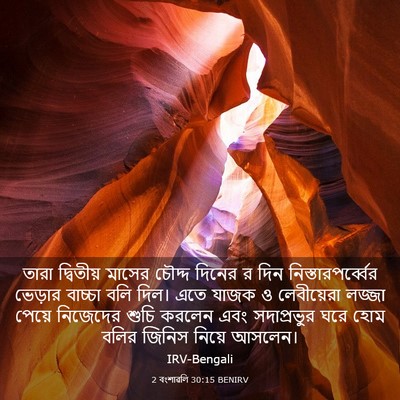 Picture 03 - 2 বংশাৱলি 30:15 BENIRV - তারা দ্বিতীয় - Bible Verse Picture