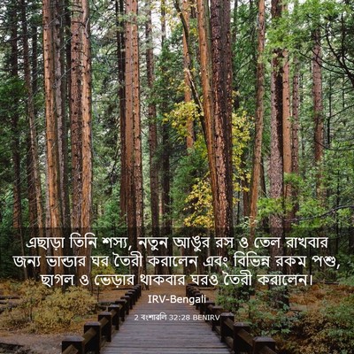 Picture 03 - 2 বংশাৱলি 32:28 BENIRV - এছাড়া তিনি শস্য, - Bible Verse Picture