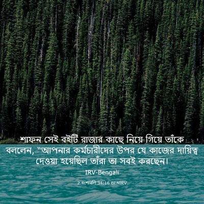 Picture 03 - 2 বংশাৱলি 34:16 BENIRV - শাফন সেই বইটি - Bible Verse Picture