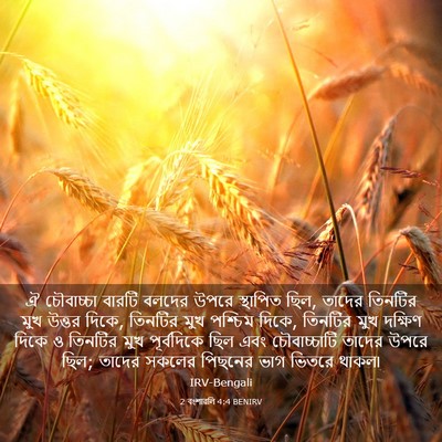 Picture 03 - 2 বংশাৱলি 4:4 BENIRV - ঐ চৌবাচ্চা বারটি - Bible Verse Picture