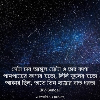 Picture 03 - 2 বংশাৱলি 4:5 BENIRV - সেটা চার আঙ্গুল - Bible Verse Picture