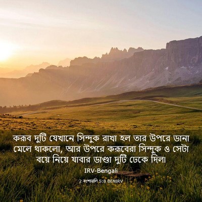 Picture 03 - 2 বংশাৱলি 5:8 BENIRV - করূব দুটি যেখানে - Bible Verse Picture
