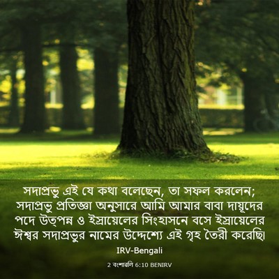 Picture 03 - 2 বংশাৱলি 6:10 BENIRV - সদাপ্রভু এই যে কথা - Bible Verse Picture