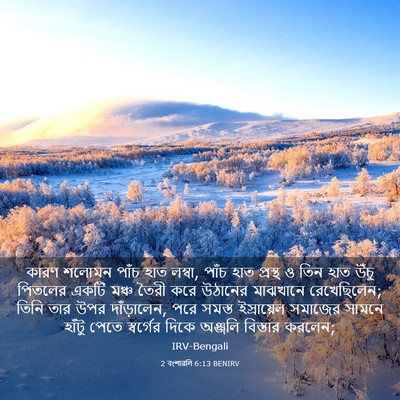 Picture 03 - 2 বংশাৱলি 6:13 BENIRV - কারণ শলোমন পাঁচ - Bible Verse Picture