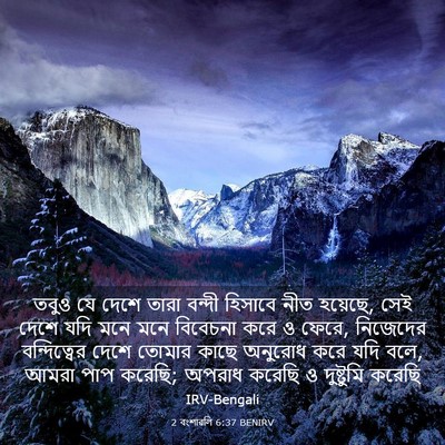 Picture 03 - 2 বংশাৱলি 6:37 BENIRV - তবুও যে দেশে তারা - Bible Verse Picture