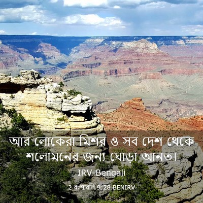 Picture 03 - 2 বংশাৱলি 9:28 BENIRV - আর লোকেরা মিশর ও সব - Bible Verse Picture
