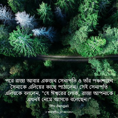 Picture 03 - 2 ৰাজাৱলি 1:11 BENIRV - পরে রাজা আবার একজন - Bible Verse Picture
