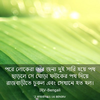 Picture 03 - 2 ৰাজাৱলি 11:16 BENIRV - পরে লোকেরা তার - Bible Verse Picture
