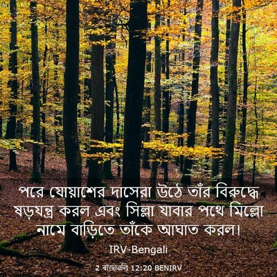 Picture 03 - 2 ৰাজাৱলি 12:20 BENIRV - পরে যোয়াশের - Bible Verse Picture