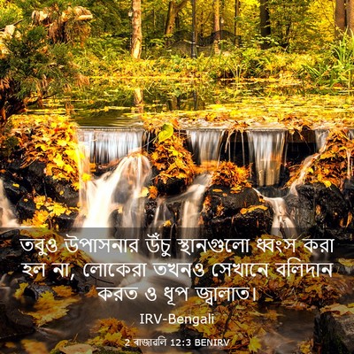 Picture 03 - 2 ৰাজাৱলি 12:3 BENIRV - তবুও উপাসনার উঁচু - Bible Verse Picture