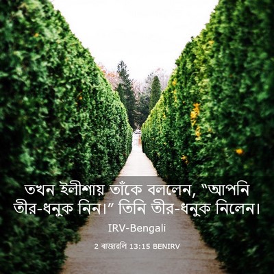 Picture 03 - 2 ৰাজাৱলি 13:15 BENIRV - তখন ইলীশায় তাঁকে - Bible Verse Picture
