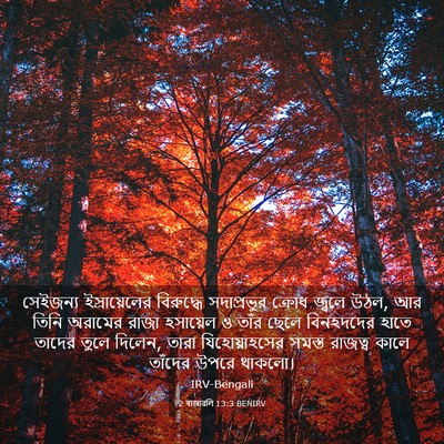 Picture 03 - 2 ৰাজাৱলি 13:3 BENIRV - সেইজন্য - Bible Verse Picture