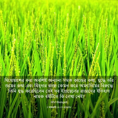 Picture 03 - 2 ৰাজাৱলি 14:15 BENIRV - যিহোয়াশের করা - Bible Verse Picture