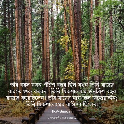 Picture 03 - 2 ৰাজাৱলি 14:2 BENIRV - তাঁর বয়স যখন - Bible Verse Picture