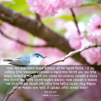 Picture 03 - 2 ৰাজাৱলি 16:15 BENIRV - তখন পরে রাজা আহস - Bible Verse Picture