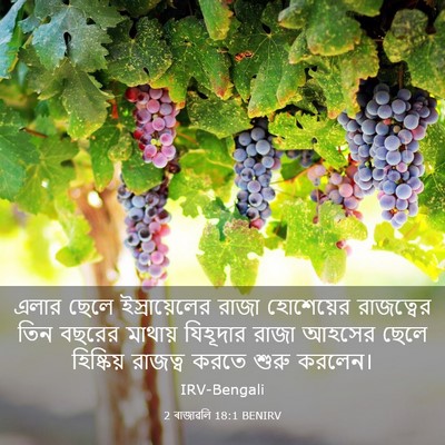 Picture 03 - 2 ৰাজাৱলি 18:1 BENIRV - এলার ছেলে - Bible Verse Picture