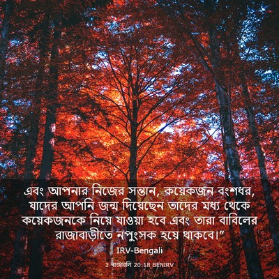 Picture 03 - 2 ৰাজাৱলি 20:18 BENIRV - এবং আপনার নিজের - Bible Verse Picture