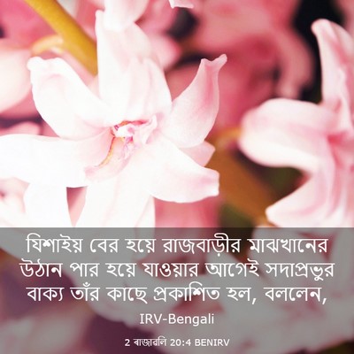 Picture 03 - 2 ৰাজাৱলি 20:4 BENIRV - যিশাইয় বের হয়ে - Bible Verse Picture