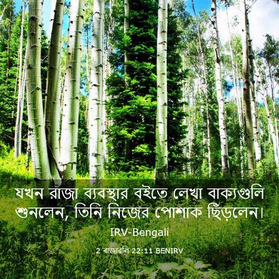 Picture 03 - 2 ৰাজাৱলি 22:11 BENIRV - যখন রাজা - Bible Verse Picture