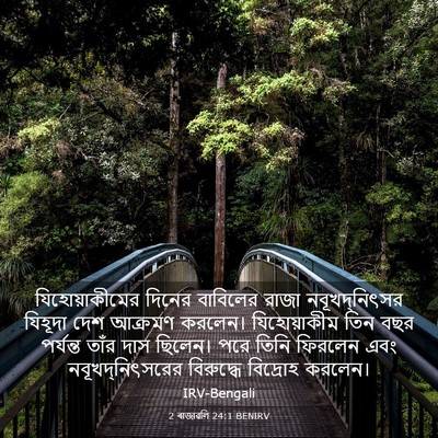 Picture 03 - 2 ৰাজাৱলি 24:1 BENIRV - যিহোয়াকীমের - Bible Verse Picture