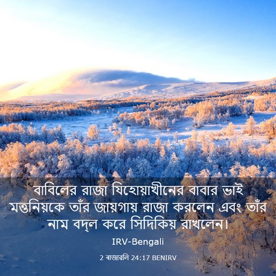 Picture 03 - 2 ৰাজাৱলি 24:17 BENIRV - বাবিলের রাজা - Bible Verse Picture