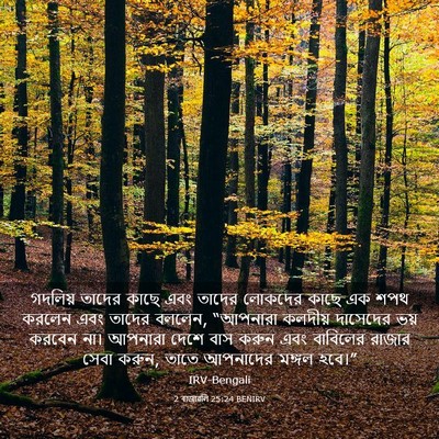 Picture 03 - 2 ৰাজাৱলি 25:24 BENIRV - গদলিয় তাদের কাছে - Bible Verse Picture