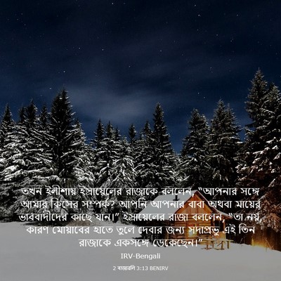 Picture 03 - 2 ৰাজাৱলি 3:13 BENIRV - তখন ইলীশায় - Bible Verse Picture