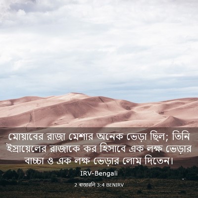 Picture 03 - 2 ৰাজাৱলি 3:4 BENIRV - মোয়াবের রাজা - Bible Verse Picture