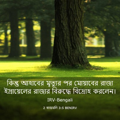 Picture 03 - 2 ৰাজাৱলি 3:5 BENIRV - কিন্তু আহাবের - Bible Verse Picture