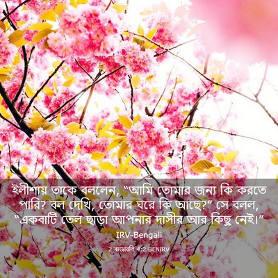 Picture 03 - 2 ৰাজাৱলি 4:2 BENIRV - ইলীশায় তাকে - Bible Verse Picture