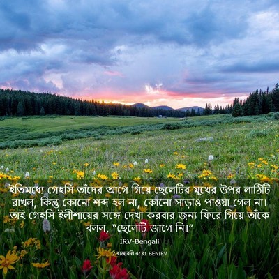 Picture 03 - 2 ৰাজাৱলি 4:31 BENIRV - ইতিমধ্যে গেহসি - Bible Verse Picture