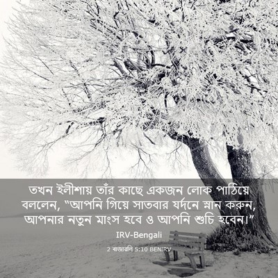 Picture 03 - 2 ৰাজাৱলি 5:10 BENIRV - তখন ইলীশায় তাঁর - Bible Verse Picture
