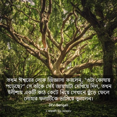 Picture 03 - 2 ৰাজাৱলি 6:6 BENIRV - তখন ঈশ্বরের লোক - Bible Verse Picture