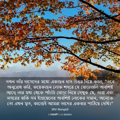 Picture 03 - 2 ৰাজাৱলি 7:13 BENIRV - তখন তাঁর দাসেদের - Bible Verse Picture