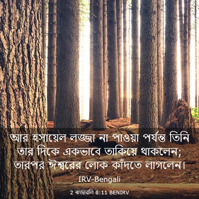 Picture 03 - 2 ৰাজাৱলি 8:11 BENIRV - আর হসায়েল লজ্জা - Bible Verse Picture