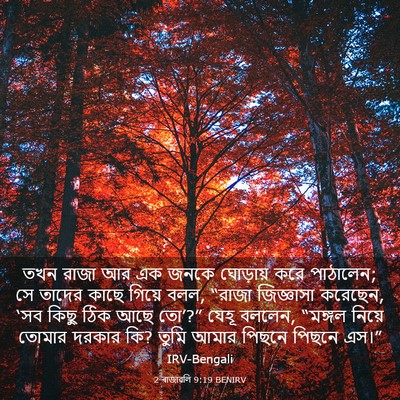 Picture 03 - 2 ৰাজাৱলি 9:19 BENIRV - তখন রাজা আর এক জনকে - Bible Verse Picture